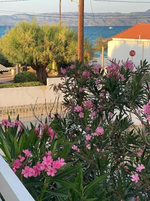 Chris View Villa Kato Assos Ngoại thất bức ảnh